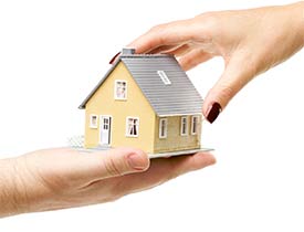 You can trust your home and business pest control needs to Allison Pest Control.