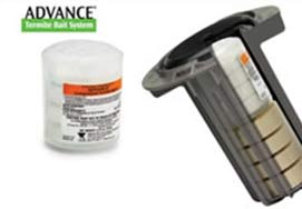 Image of the Advance Termite Bait System.